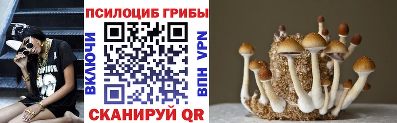 купить закладку Кувандык мориарти как зайти Галлюциногенные грибы прущие грибы